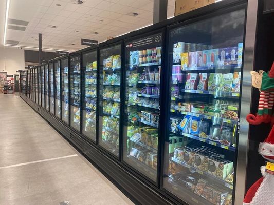 Ανεξάρτητη όρθια χαμηλή θερμοκρασία 3 ψυκτήρων πορτών γυαλιού 4 5 6 πόρτες