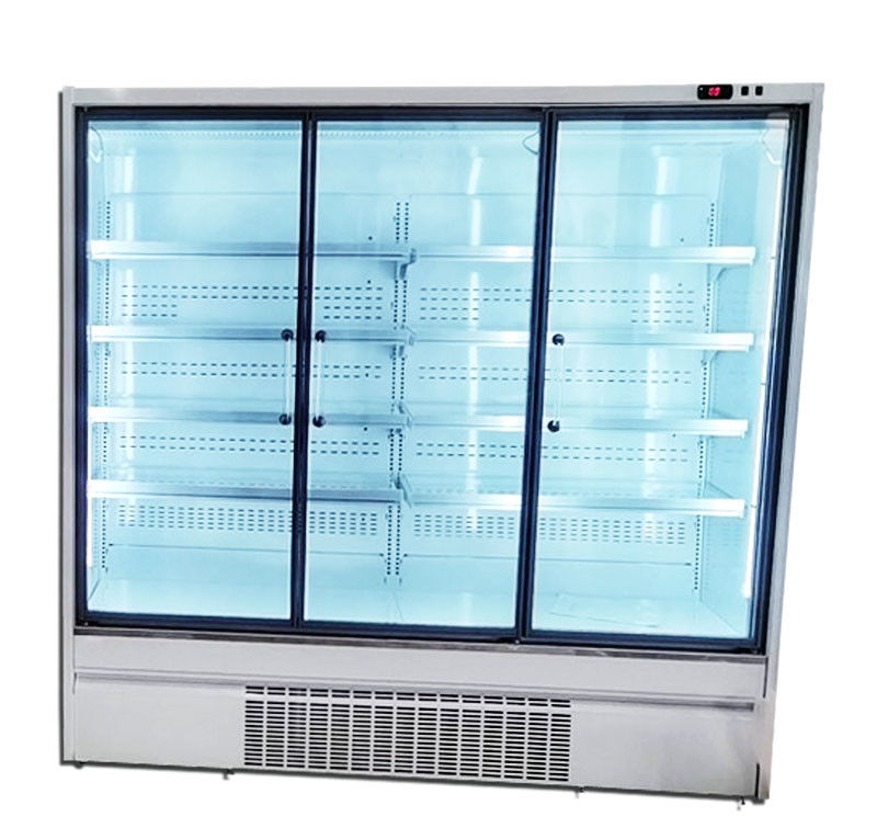 Όρθιο δοχείο ψύξης 2/3/4 πόρτα 220V/50HZ πορτών γυαλιού υπεραγορών R290